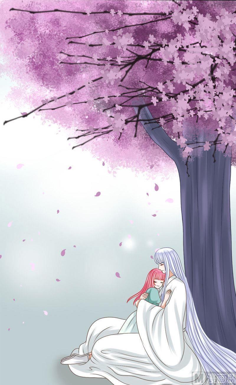 第79话最终下-第79话