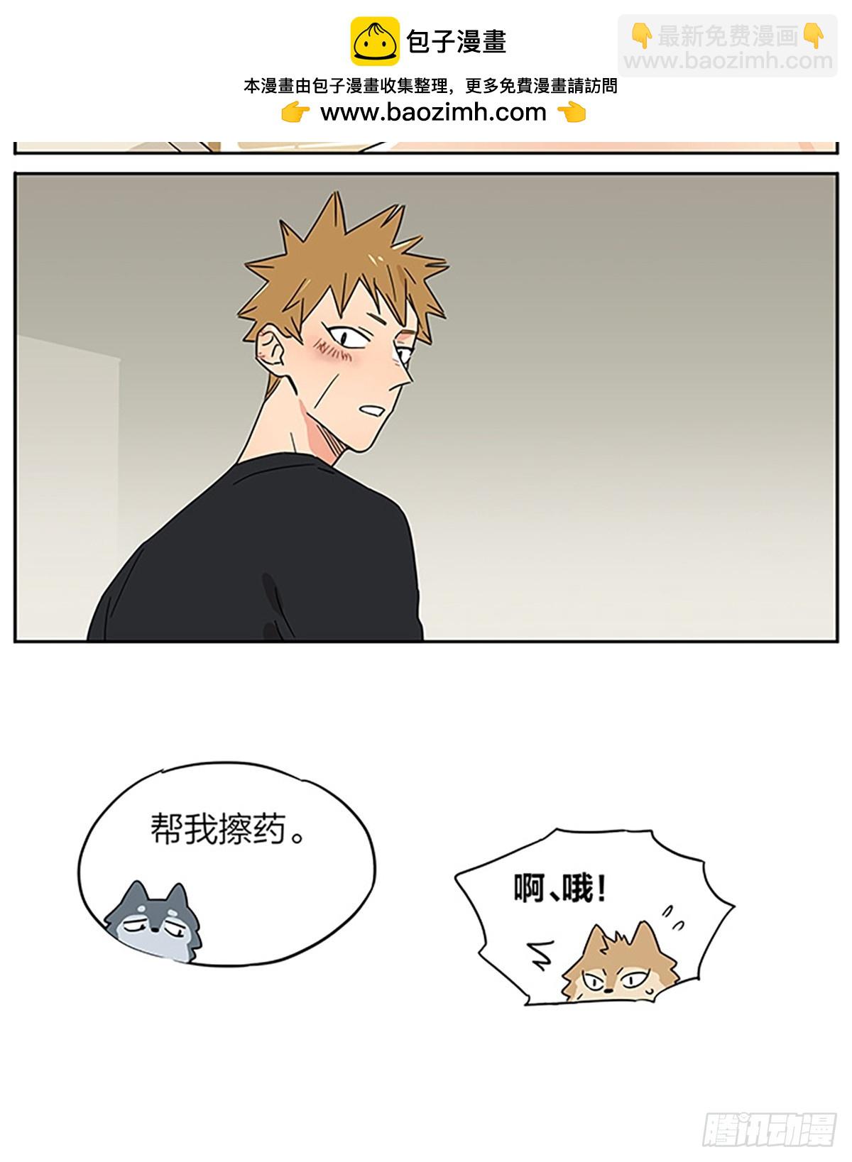 撿了東西的狼 - 療傷 - 1