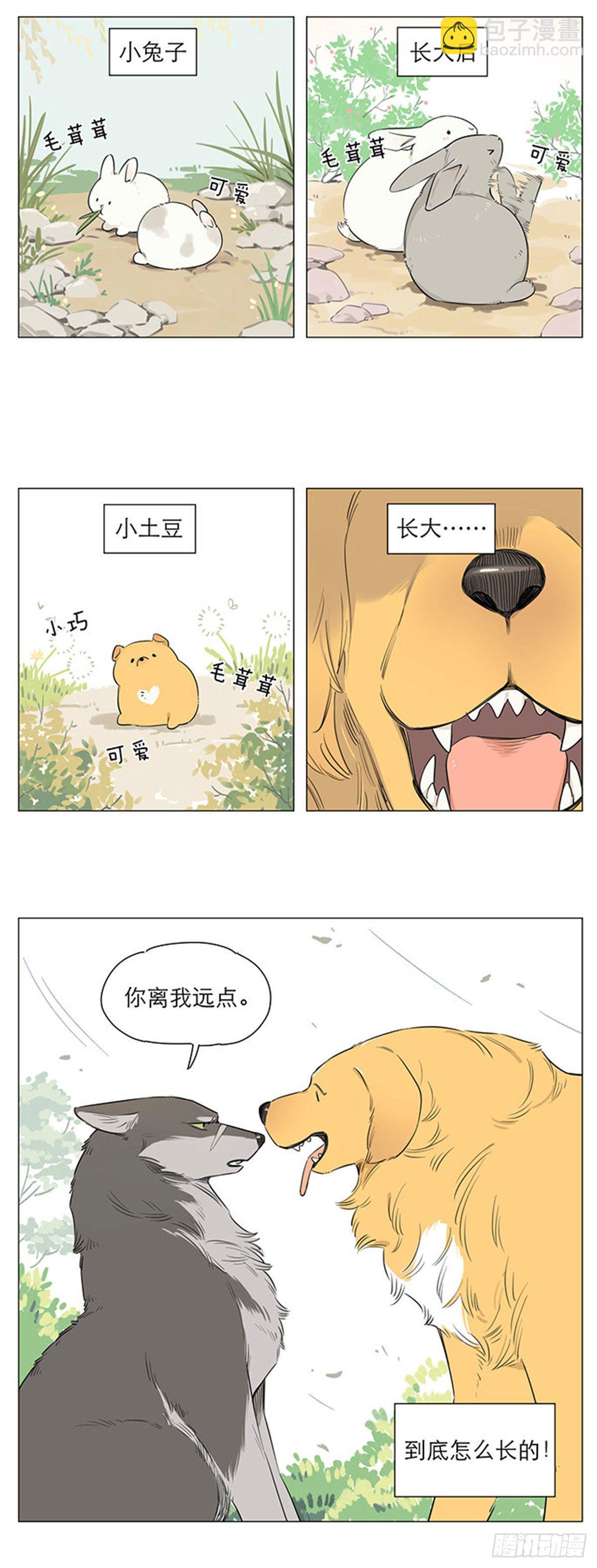 狼王的新称呼-第19话