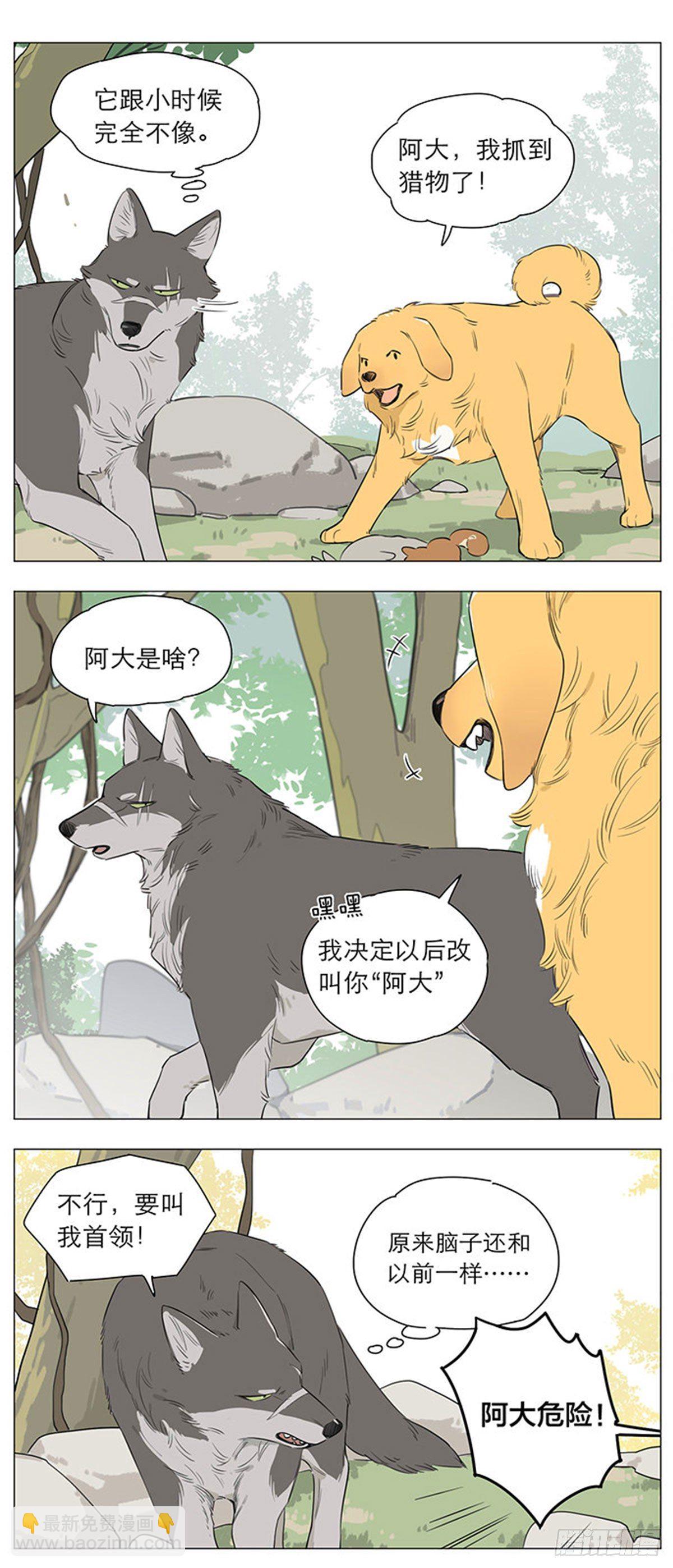 狼王的新称呼-第19话