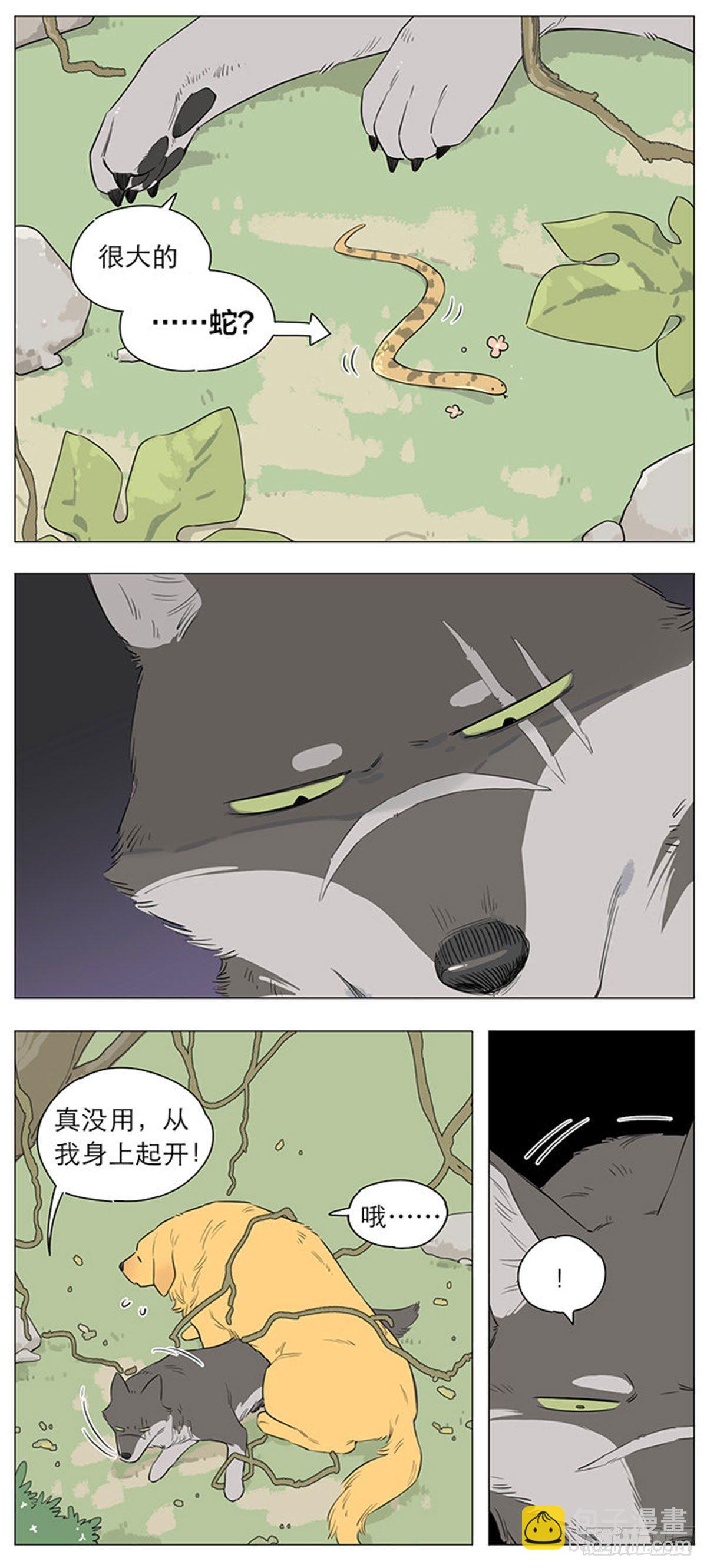 狼王的新称呼-第19话