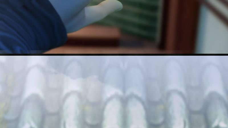 第12话：仙缘港(1/2)-第13话