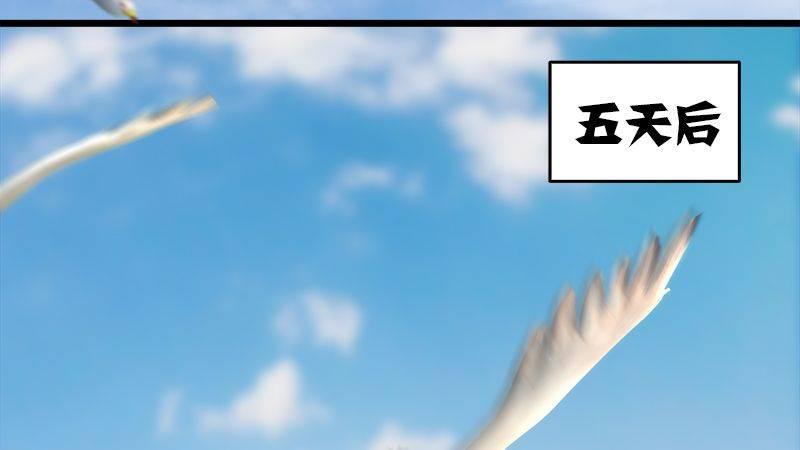 第12话：仙缘港(1/2)-第13话