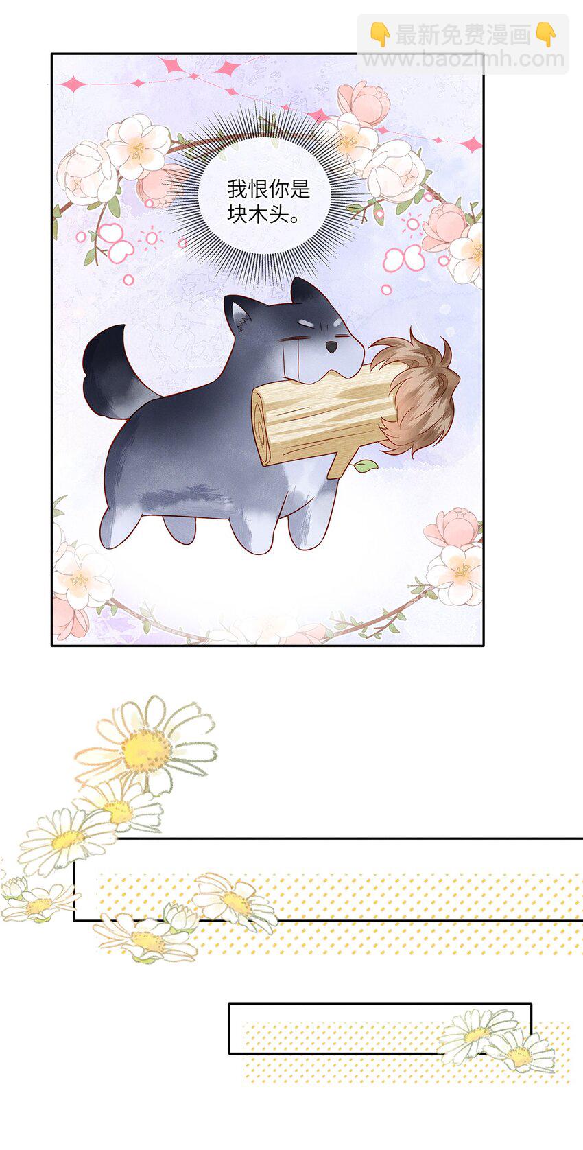 035 我不会讨厌你的-第35话