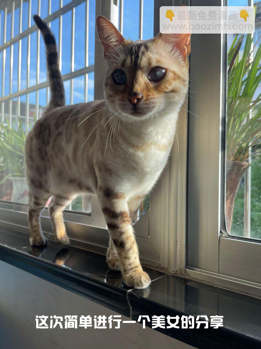 005 新手奶爸-第5话