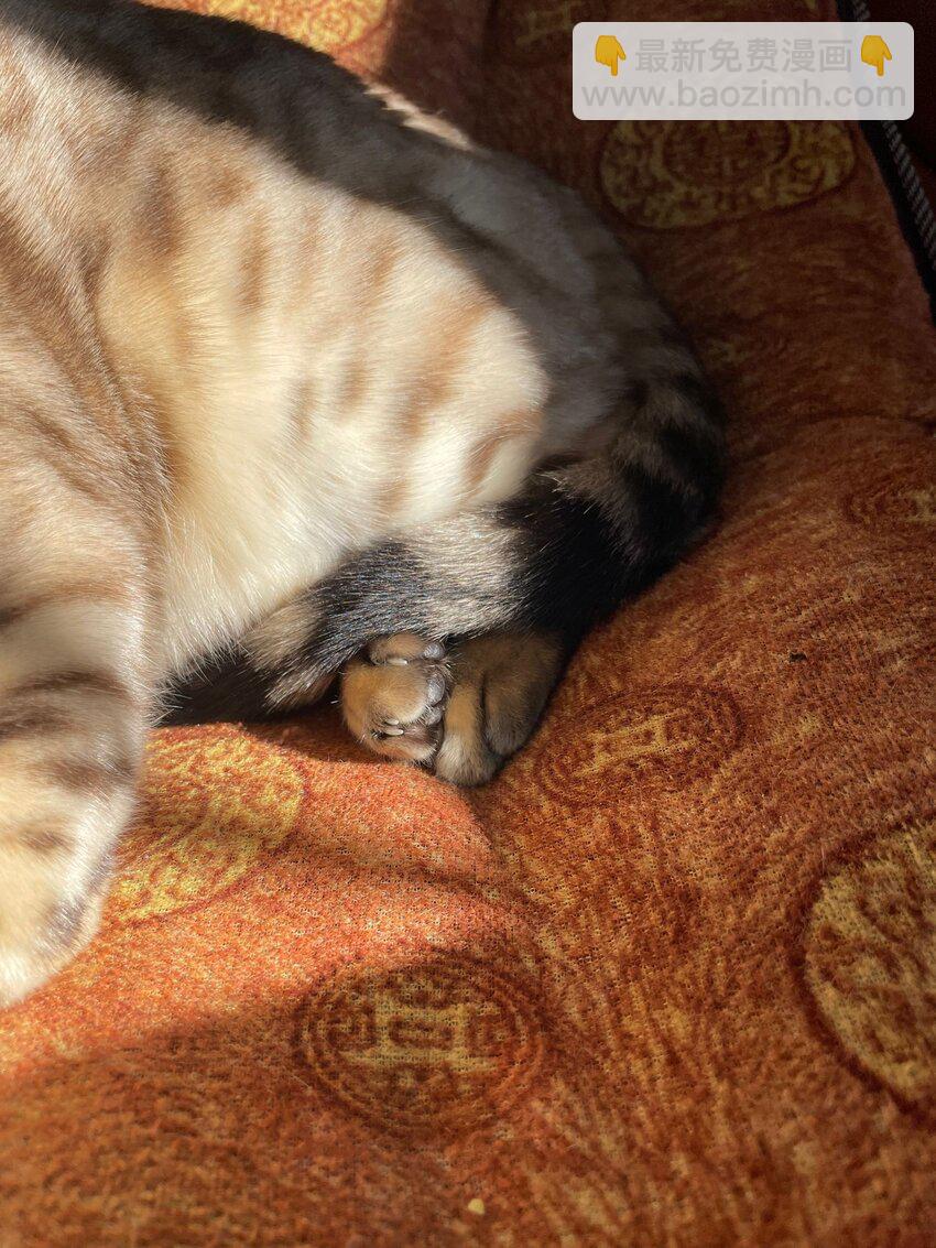 039 为什么会喜欢我？-第39话