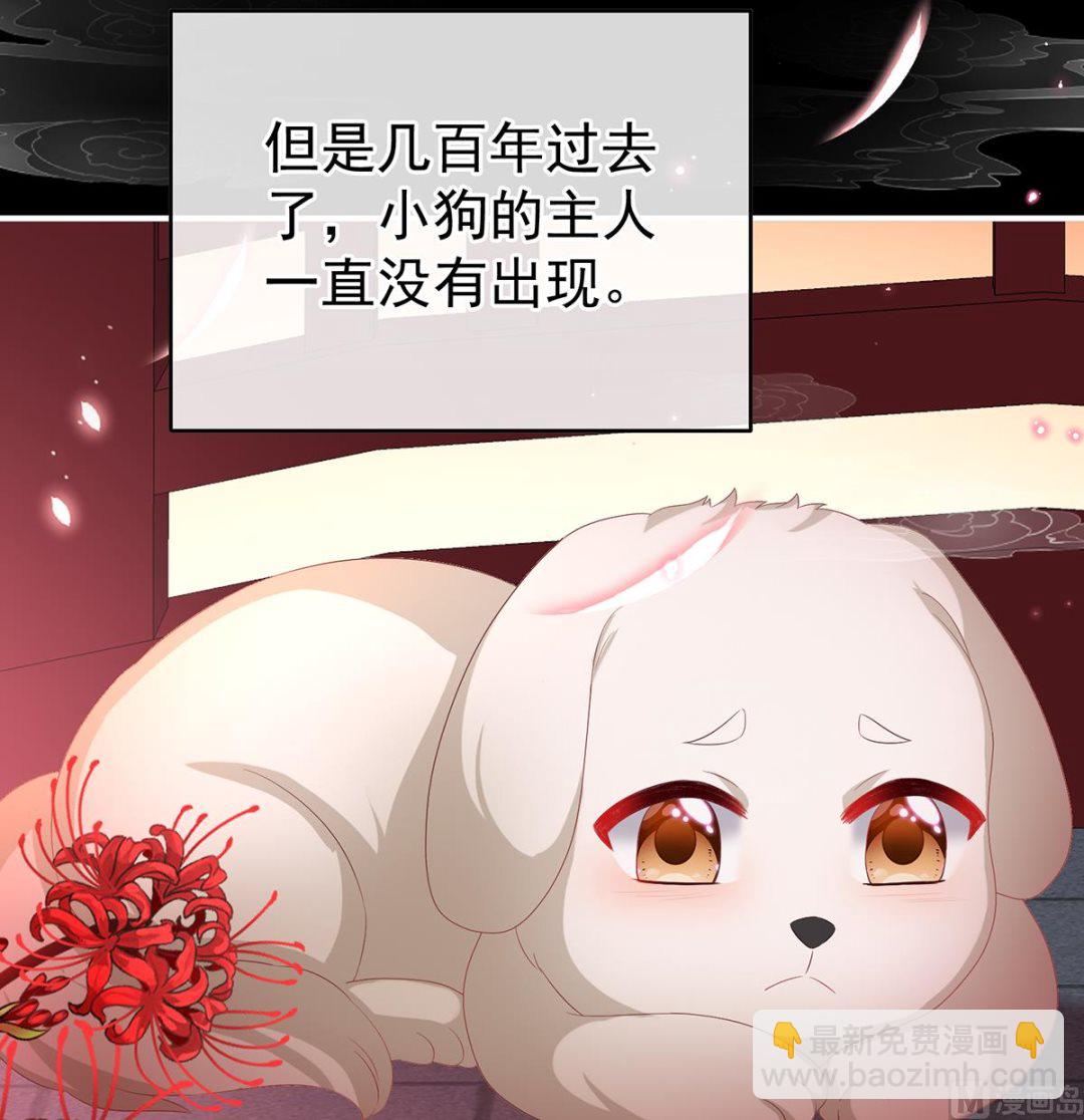 第141话 你就是那只狗！(1/2)-第147话