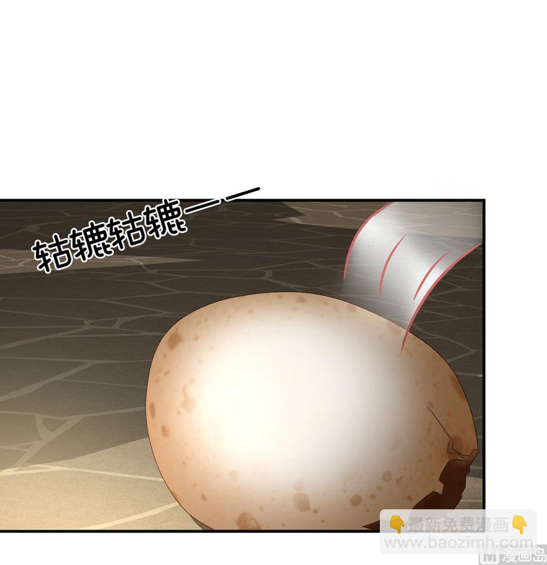 第62话 孩子孵出来了！(1/2)-第65话