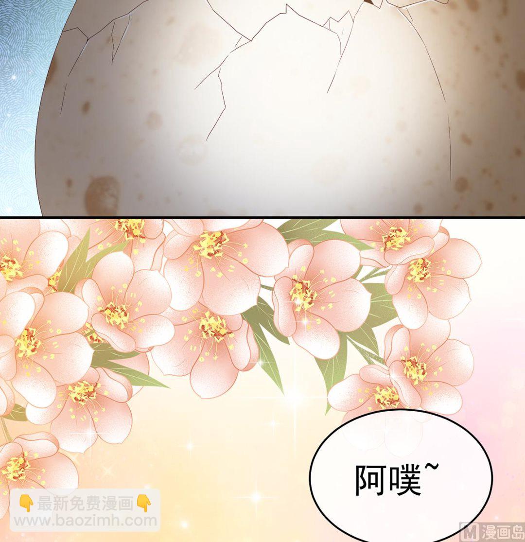 第62话 孩子孵出来了！(1/2)-第65话