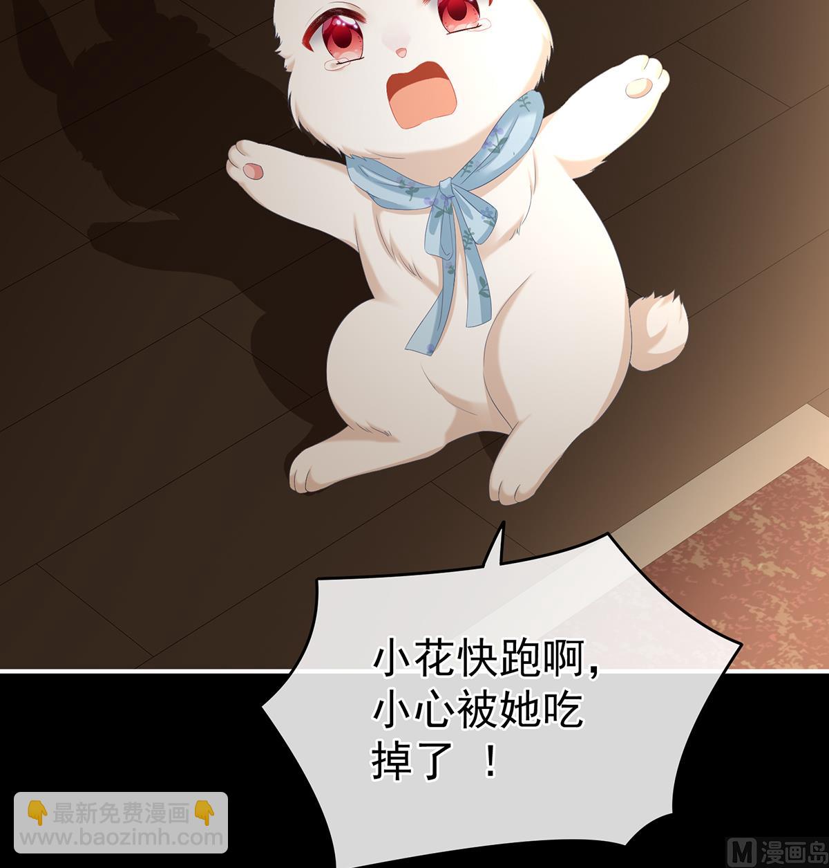 第67话 一夜留情(1/2)-第71话