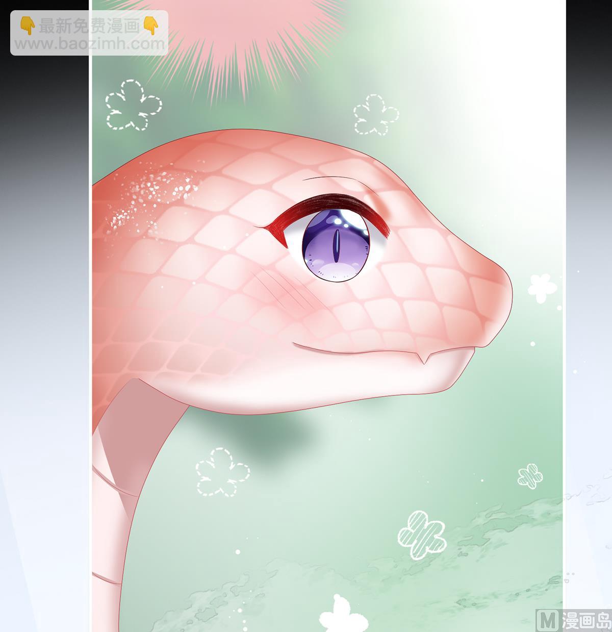 第67话 一夜留情(1/2)-第71话