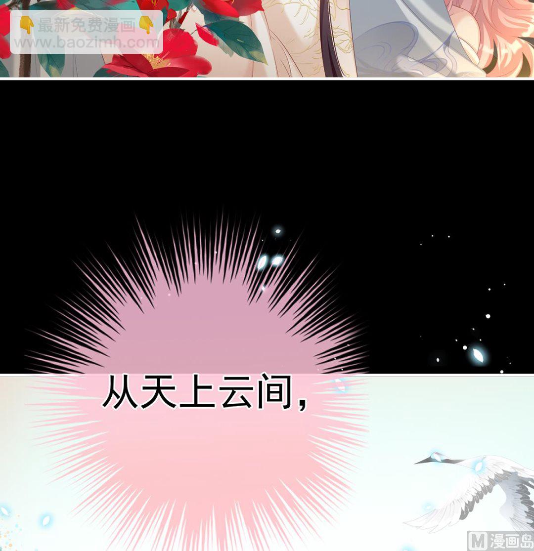 第67话 一夜留情(1/2)-第71话