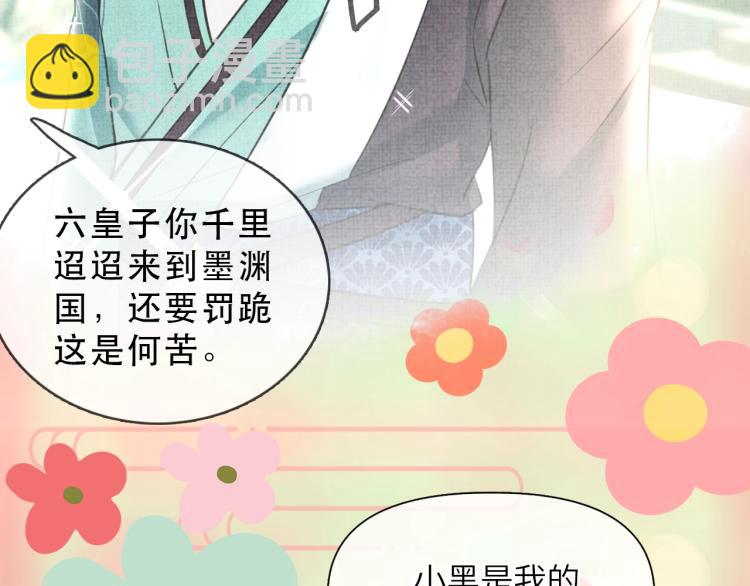 人设序章 超萌鲛人崽崽出现啦-第1话