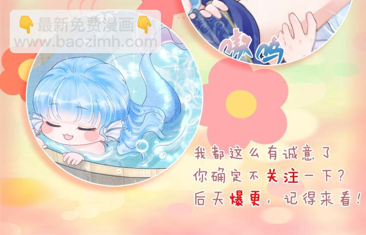 人设序章 超萌鲛人崽崽出现啦-第1话