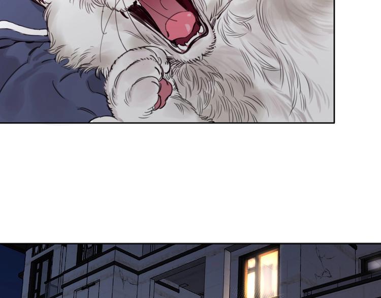 第15话 新一波投喂！(1/2)-第19话