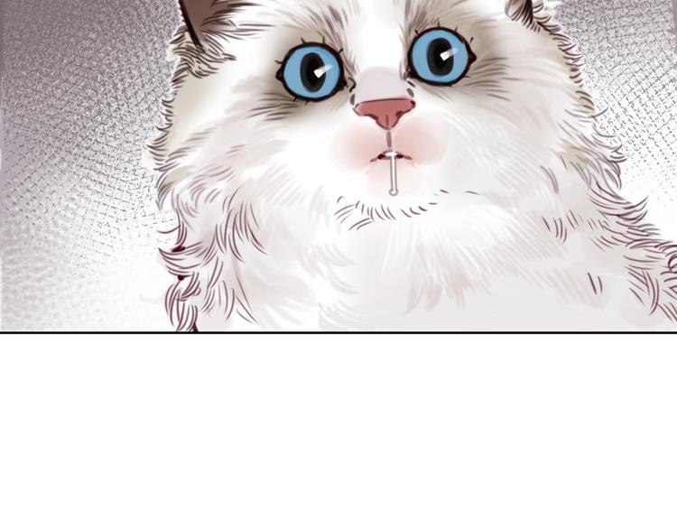 第15话 新一波投喂！(1/2)-第19话