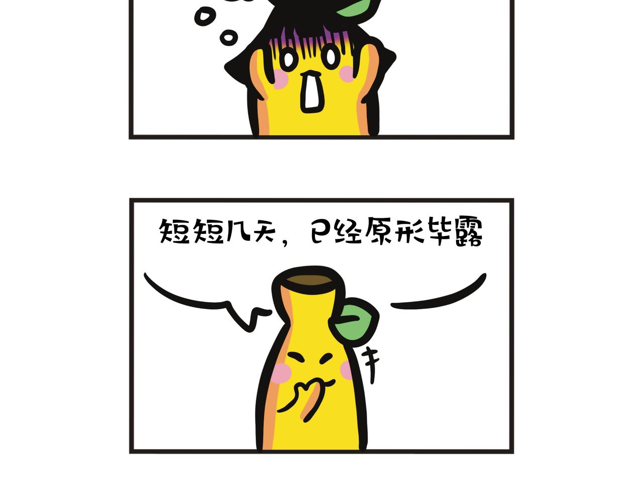 第101集 蕉姐实习报告-第101话