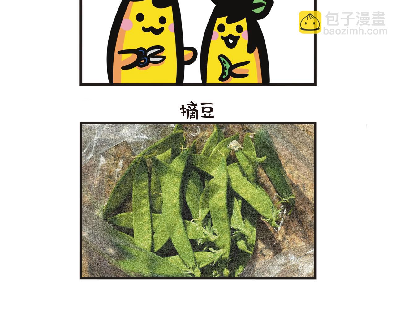 第105集 新年回乡探亲-第105话