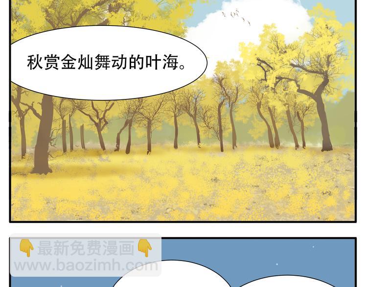 第12话 教主，阿宝看腻了-第13话