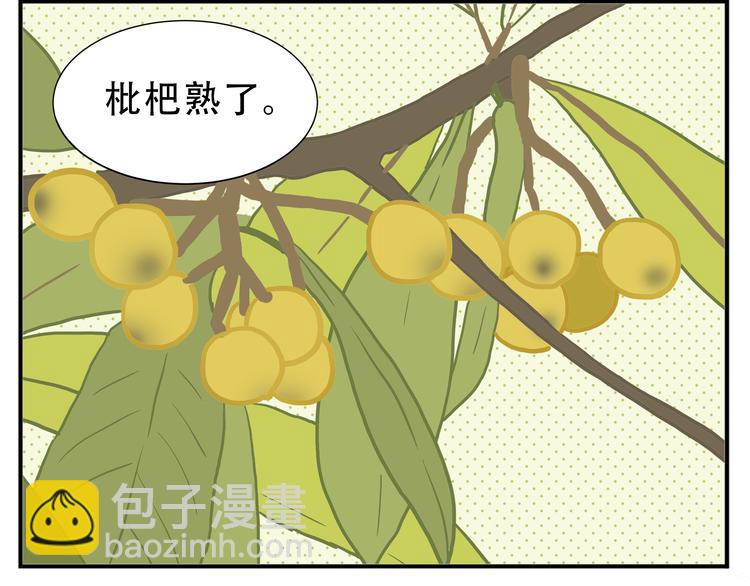 第26话 阿宝成熟了-第27话