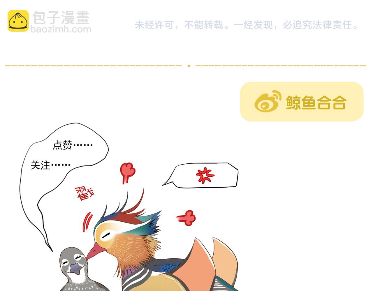 第11话 阿宝要生孩子了！-第81话