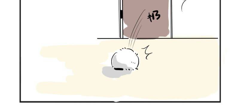 这里是萌萌的预告-第1话