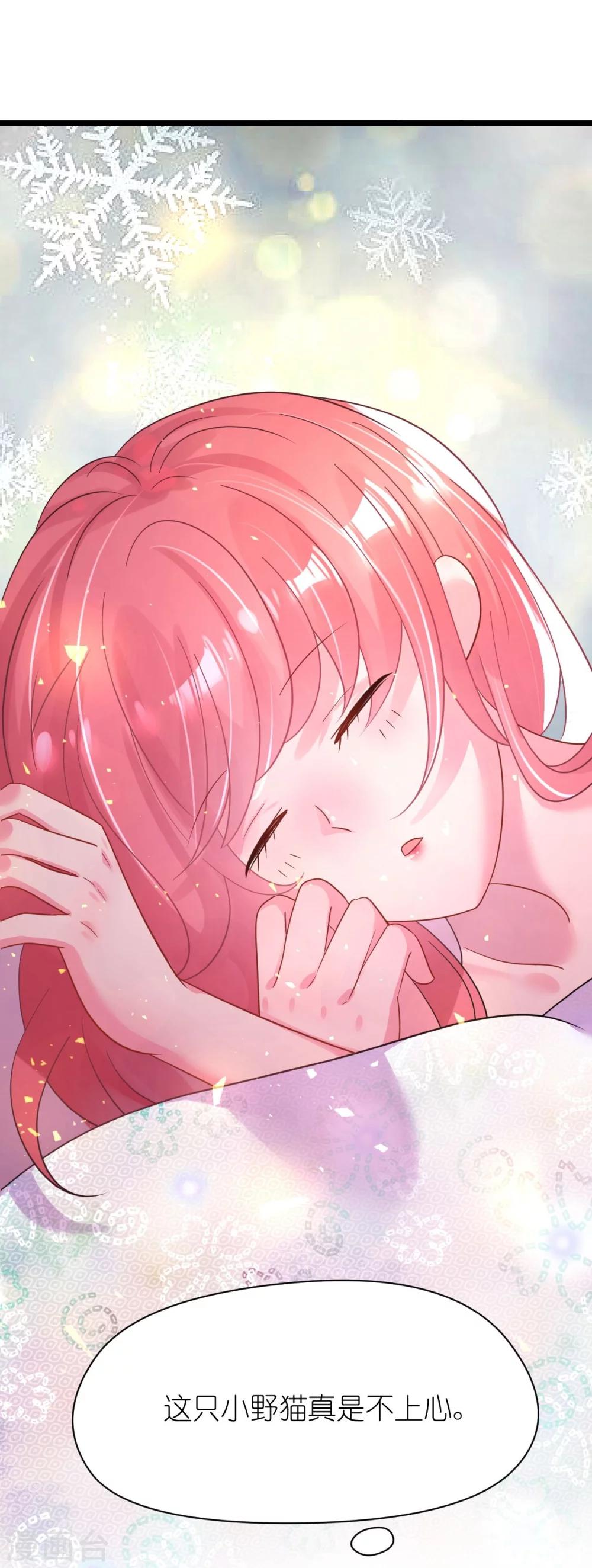 第27话 神秘生日宴的礼物-第27话