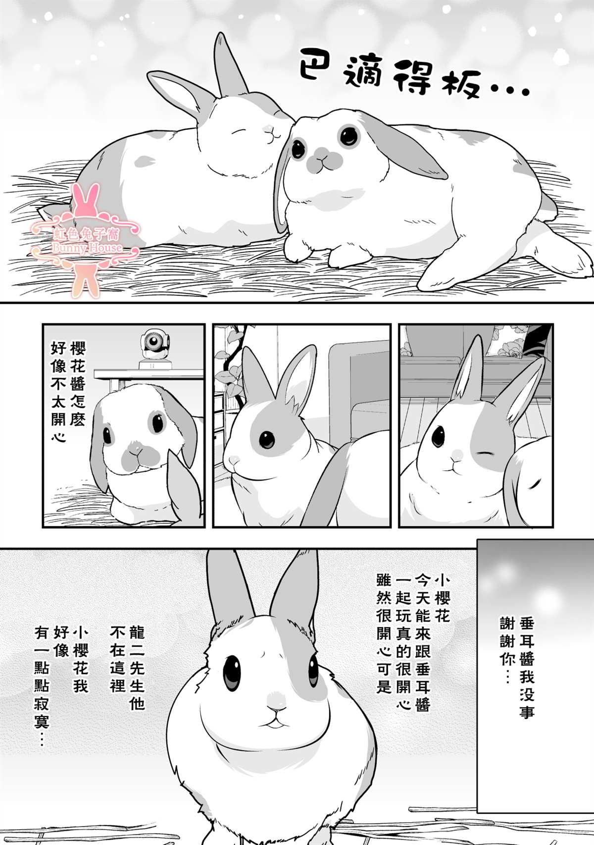 極道兔兔 - 第22話 - 4