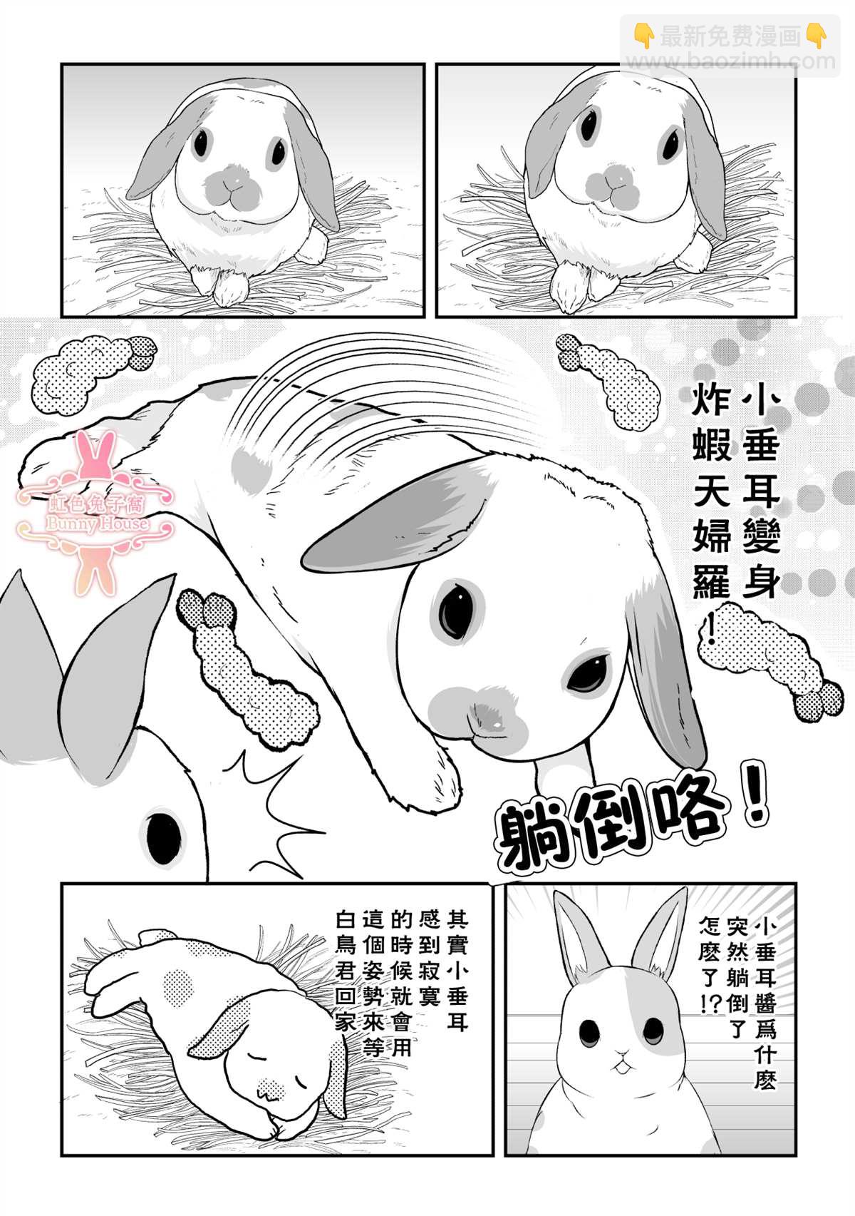 極道兔兔 - 第22話 - 5