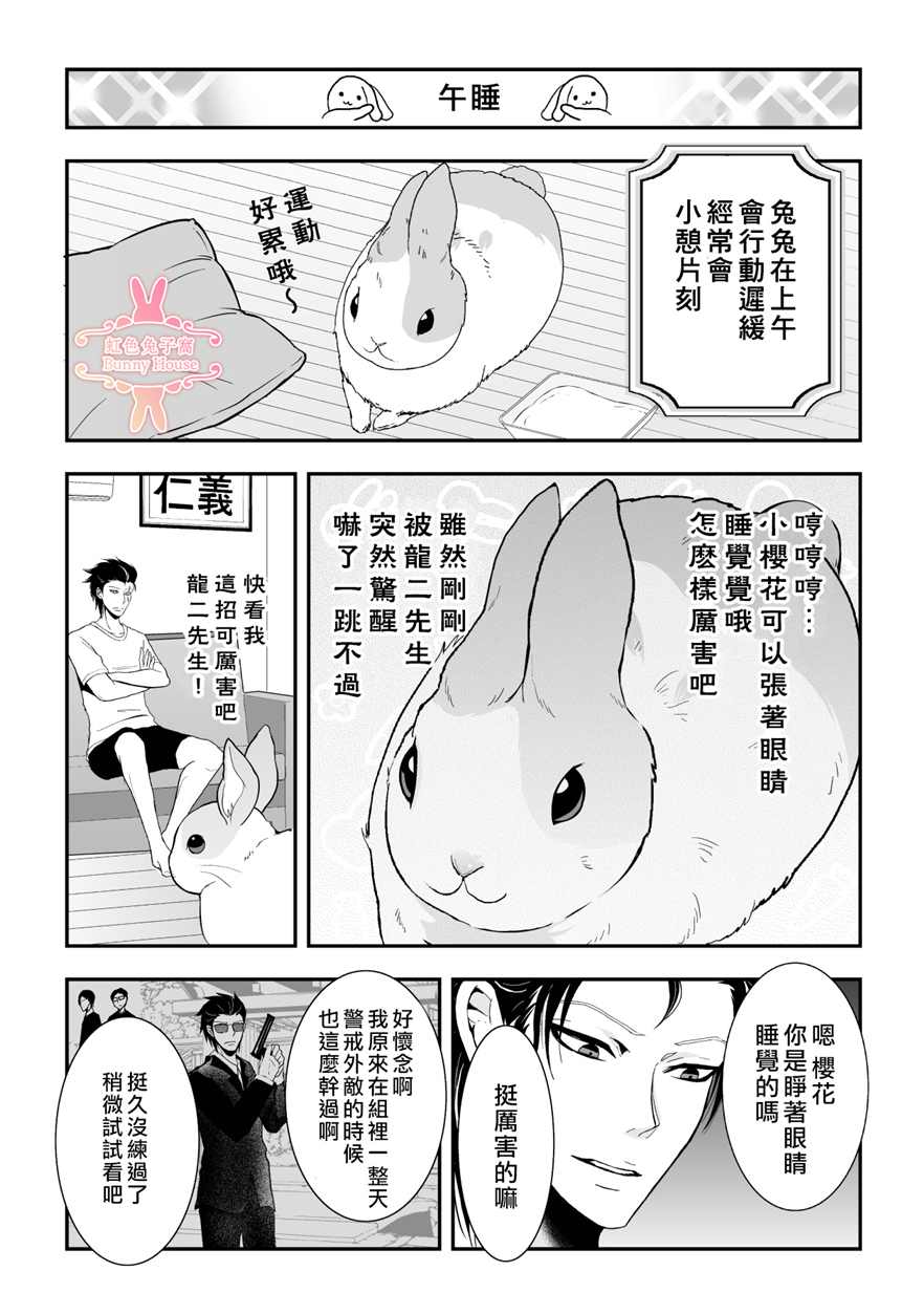極道兔兔 - 第9話 - 3