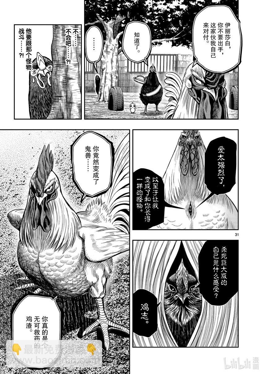 雞鬥士 - 第11只 鳥盡弓藏(1/2) - 2