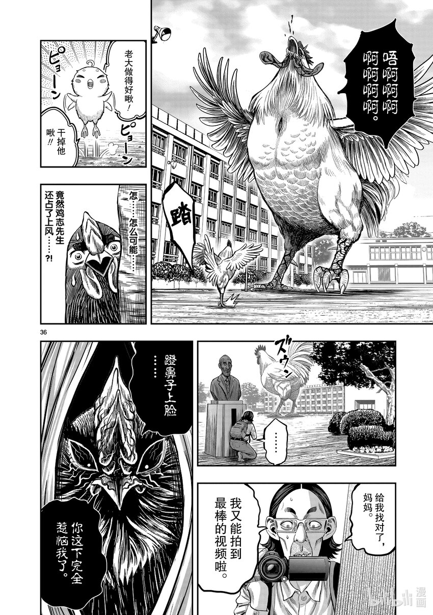 雞鬥士 - 第11只 鳥盡弓藏(1/2) - 7