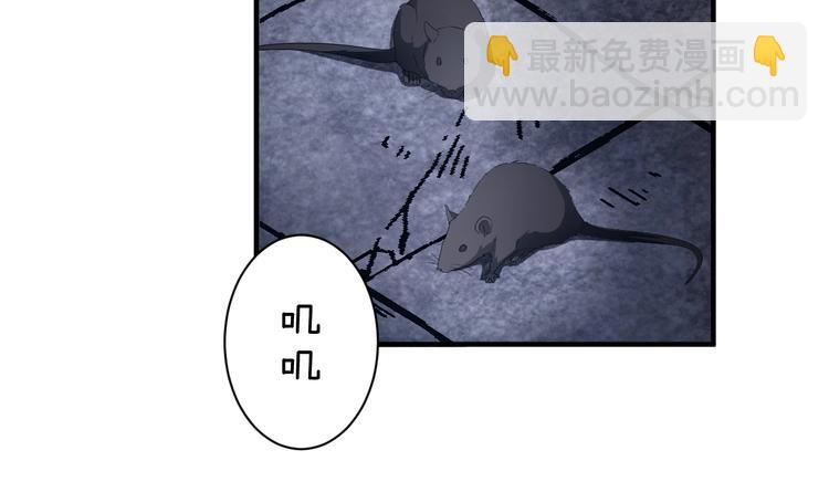 第75话 你们之间要死一个！(1/2)-第75话