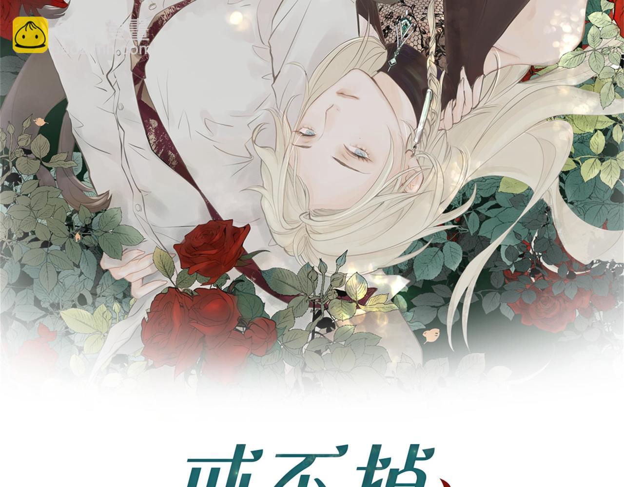 第34话 流星雨(1/2)-第35话