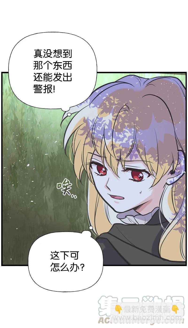 41 赌约(1/2)-第41话