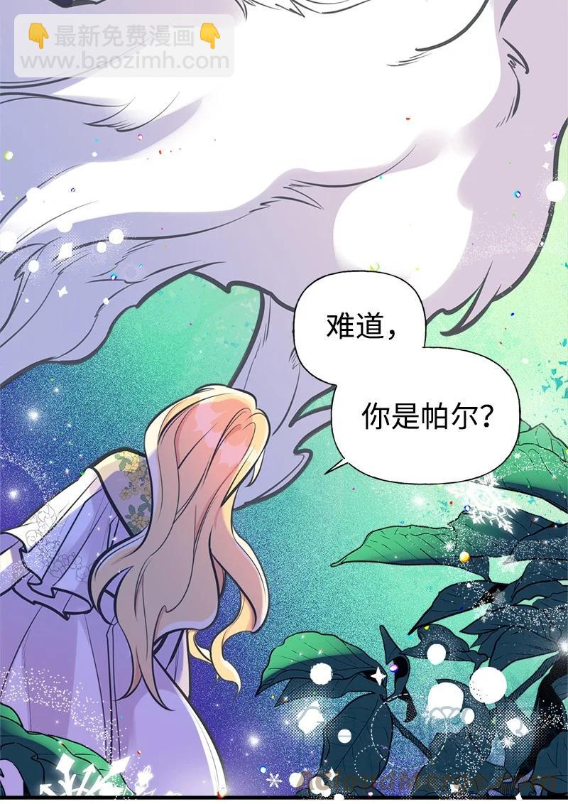 51 与帕尔的契约(1/2)-第51话