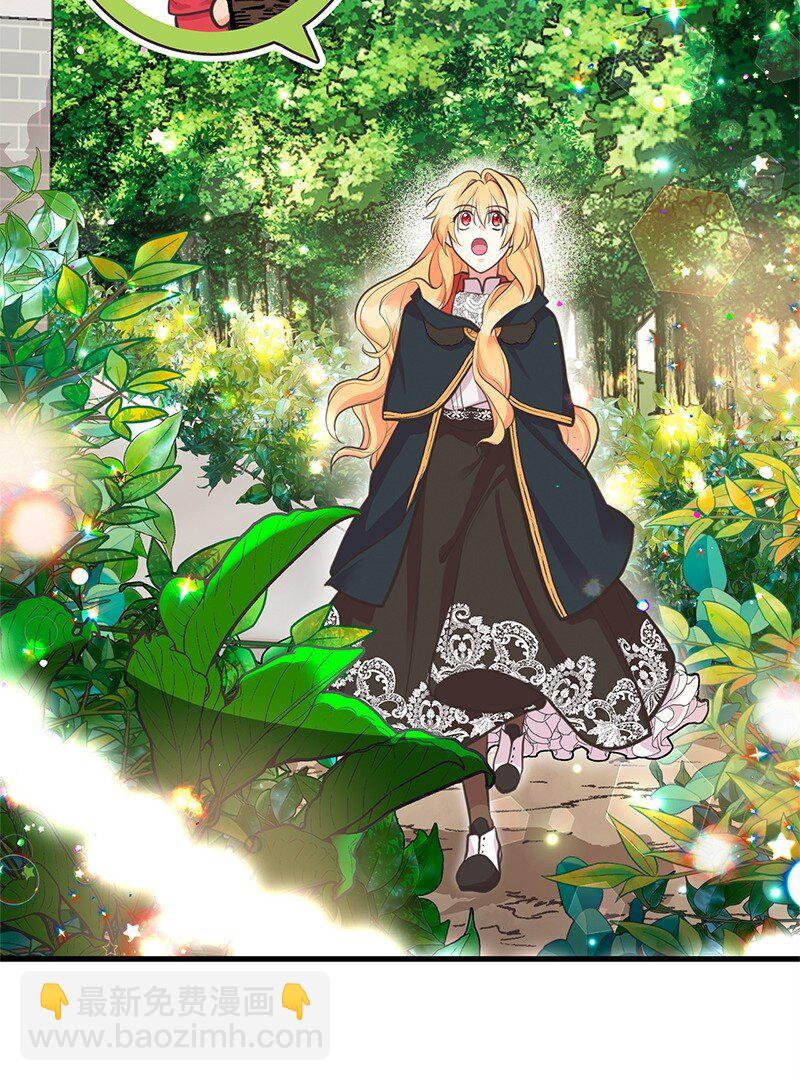 67 公女的另一面(1/2)-第67话