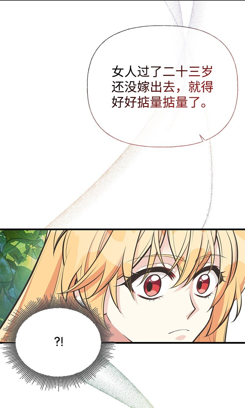 67 公女的另一面(1/2)-第67话