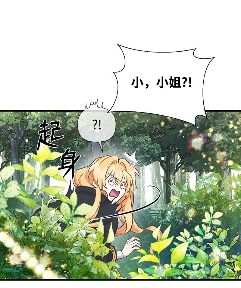 67 公女的另一面(1/2)-第67话