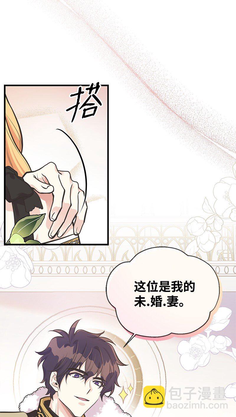 67 公女的另一面(1/2)-第67话