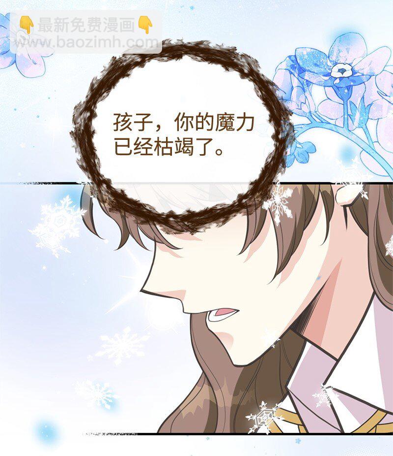 81 承袭魔力(1/2)-第81话