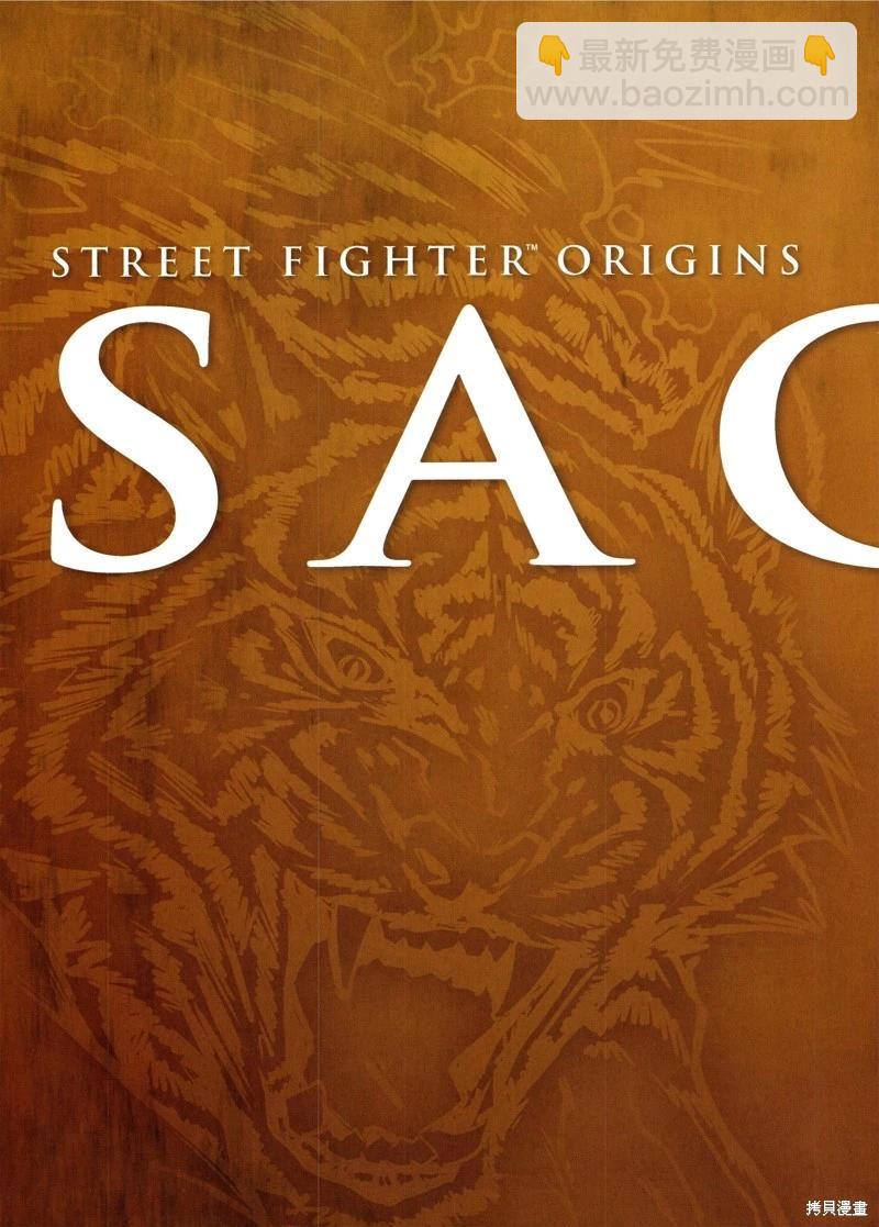 街頭霸王 特刊合集 - 沙加特1 - 3