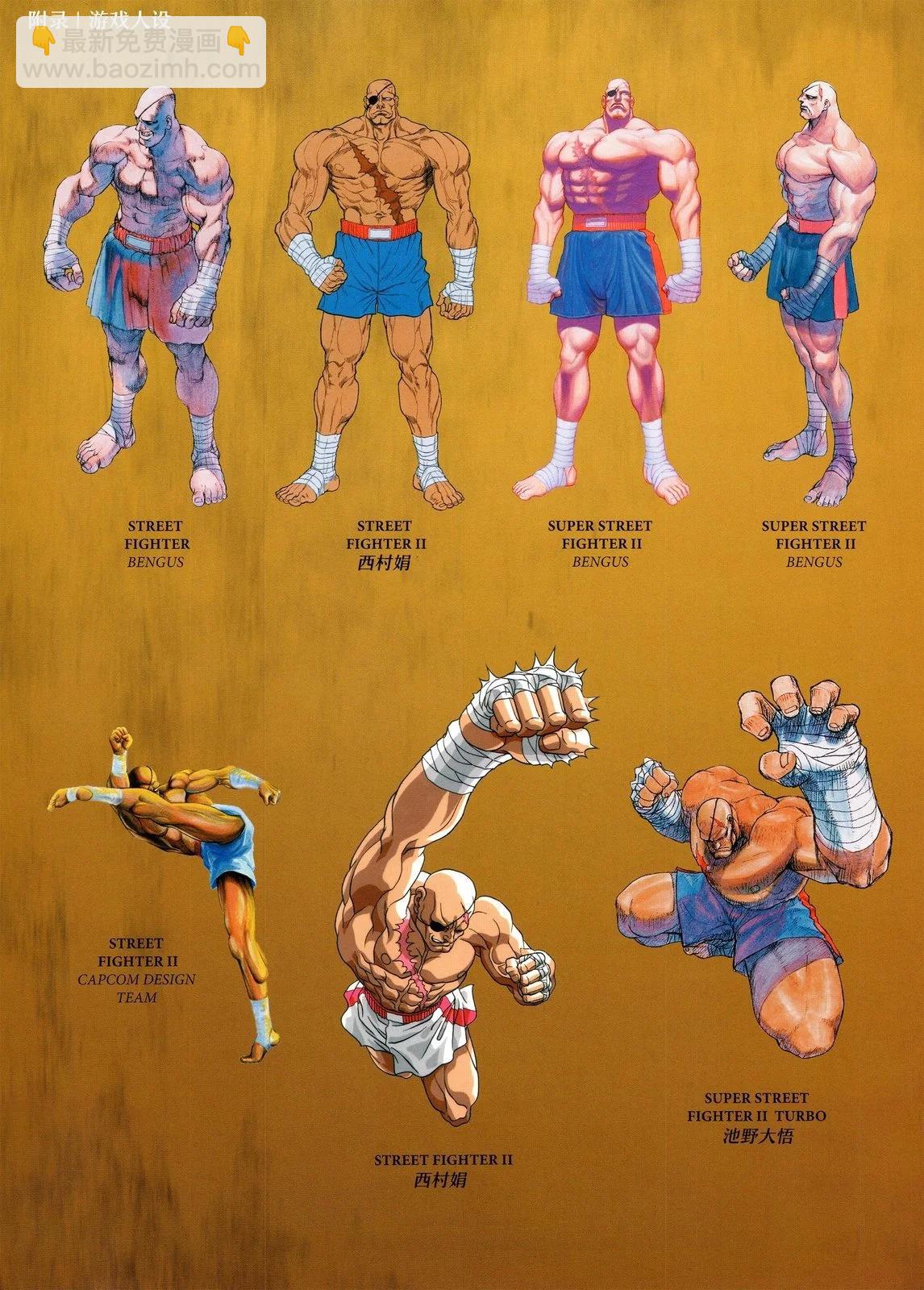 街頭霸王 特刊合集 - 沙加特3 - 6