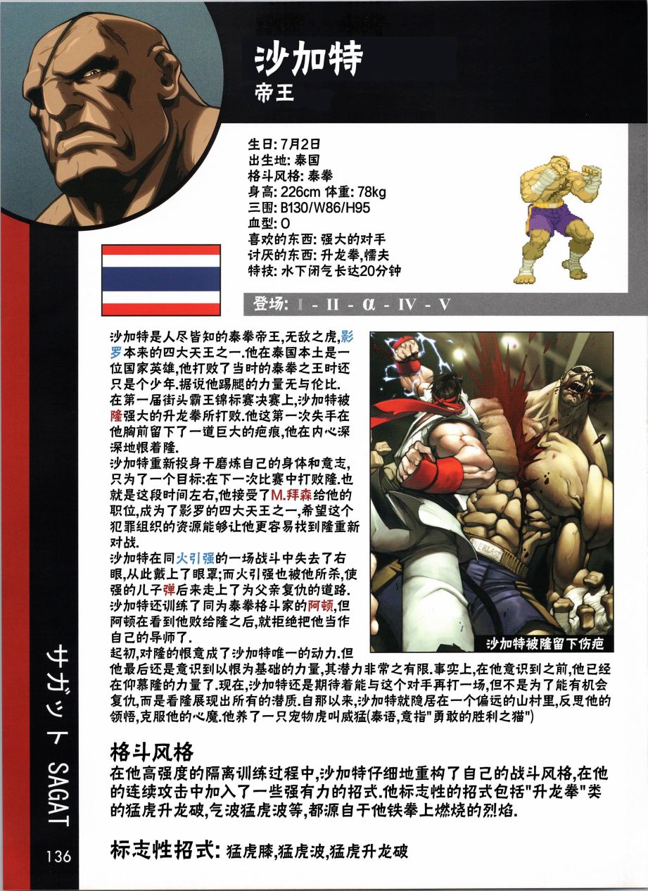 街頭霸王 特刊合集 - 人物譜5 - 1