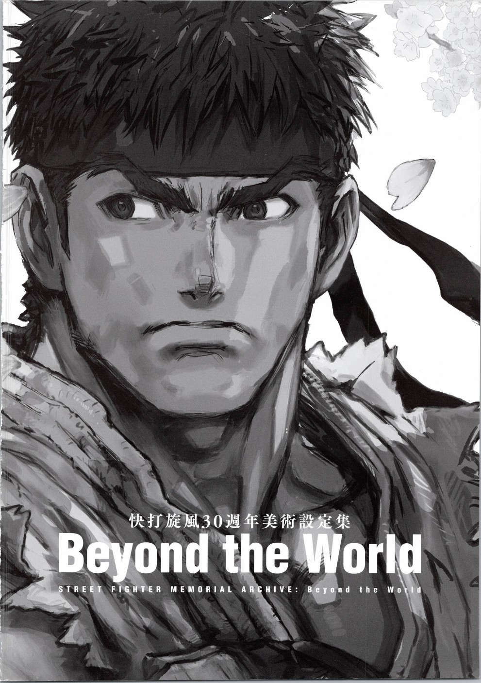 街頭霸王 特刊合集 - 30週年1(1/2) - 3