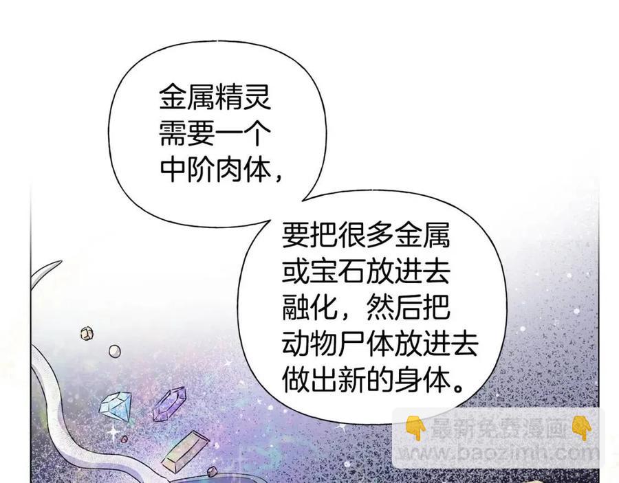 金髮精靈師之天才的煩惱 - 第48話 憨批龍變身啦！(2/4) - 4