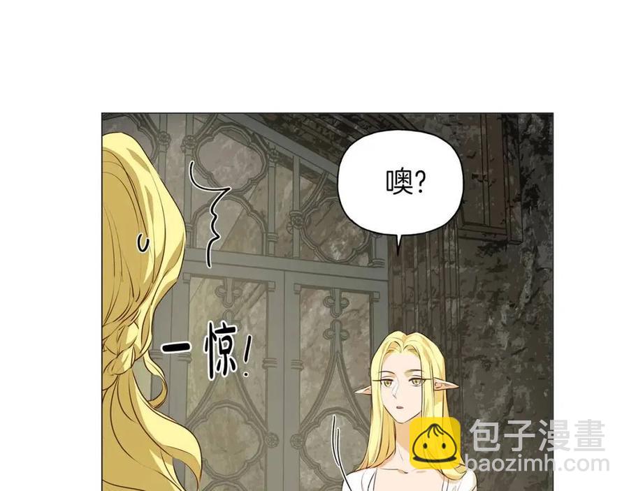 金髮精靈師之天才的煩惱 - 第50話 龍母找上門(3/4) - 7