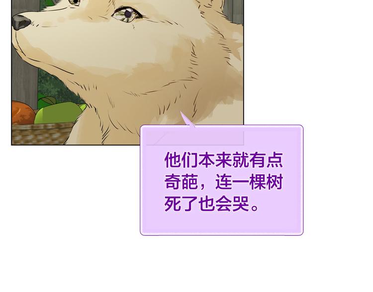 金髮精靈師之天才的煩惱 - 第56話 天選之子(4/5) - 3