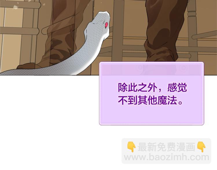 金髮精靈師之天才的煩惱 - 第62話 粉絲遍地(1/5) - 3