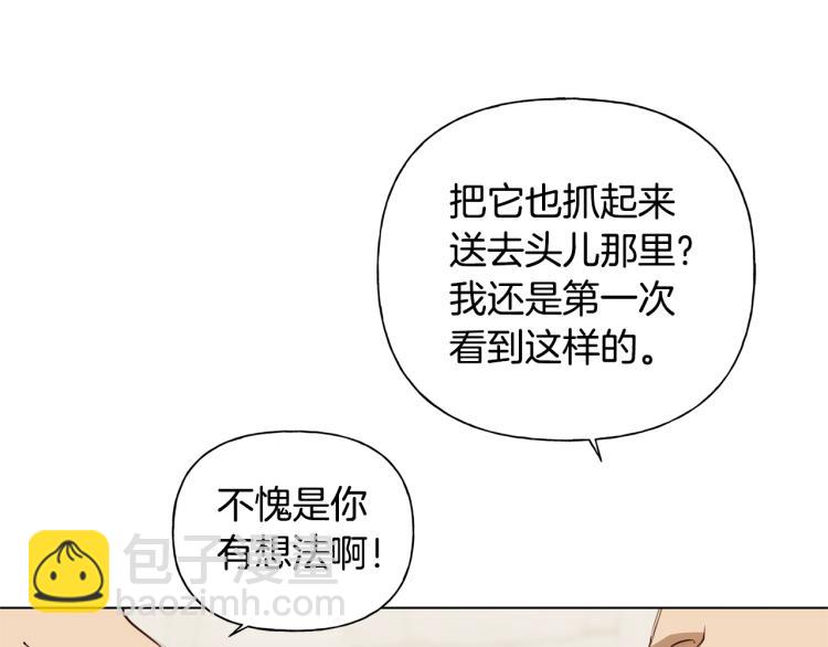 金髮精靈師之天才的煩惱 - 第64話 強悍的武力值(1/4) - 2
